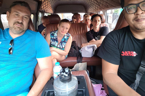 乌布猴林、梯田、秋千、寺庙和瀑布乌布猴林、水稻梯田、秋千、寺庙和瀑布