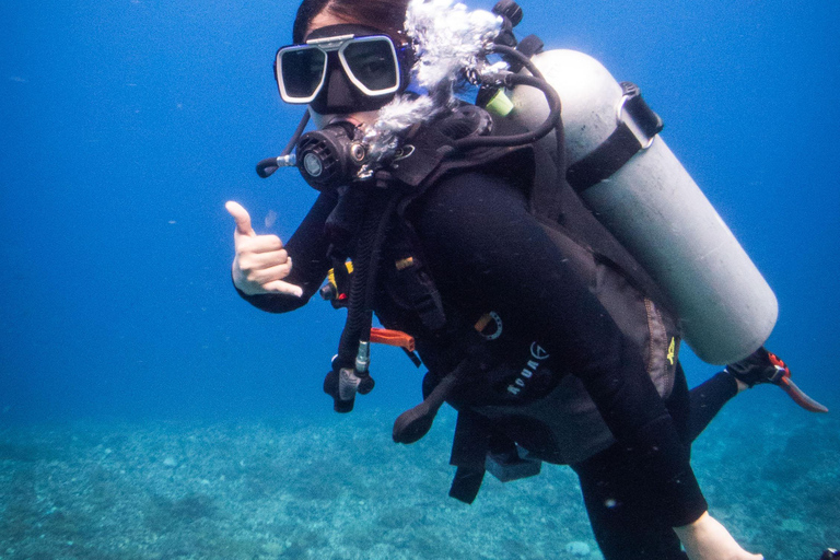 El Nido: Deep Blue Dive Seafari Experience