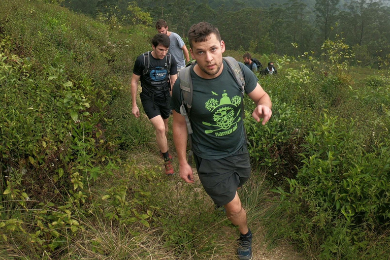 Knuckles Mountain Watervallen Luipaardpad Trek vanuit Kandy