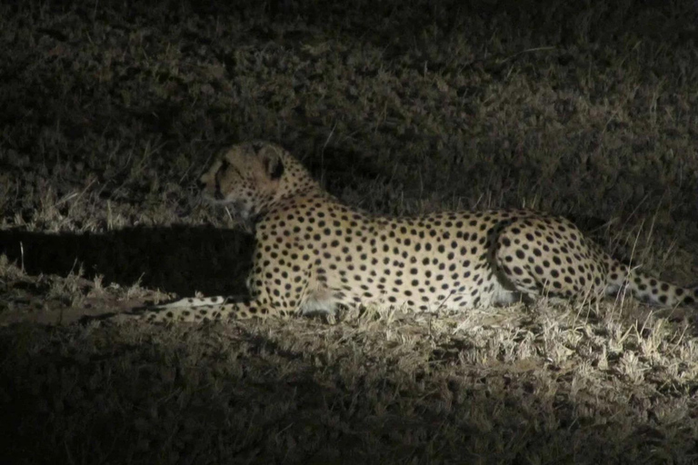 Victoria Falls Night Game drive with Bush Dinner