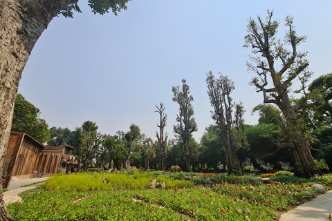 Chiangmai : Cascada pegajosa &amp; Tierra de ángeles &amp; Wat ban den.