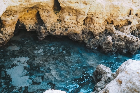 Albufeira: avontuurlijke Benagil-grottour, Algar Seco en meer