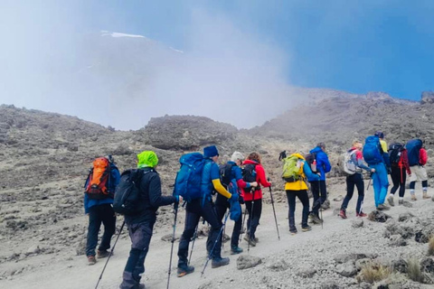 Kilimanjaro: Rongai Route 6-Day Hiking Adventure