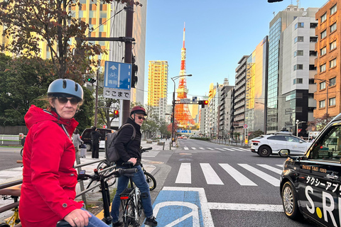 Tokyo: Cherry Blossom E-Bike Tour with Guide