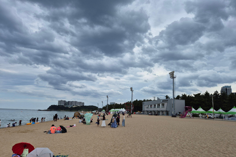 From Seoul: Seoraksan National Park & Sokcho Beach Day Trip