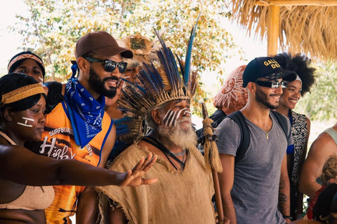 Punta Cana Adventure Park: Buggy, Zipline, Horseback, Cenote