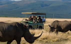 Plettenberg Bay Game Reserve: 2-Hour Game Drive
