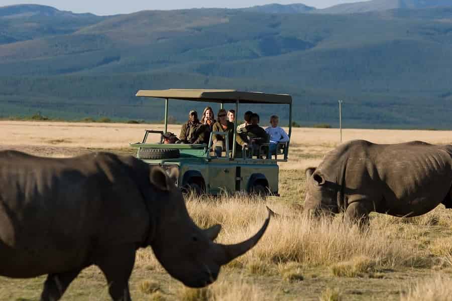 Plettenberg Bay Game Reserve: 2-stündige Pirschfahrt. Foto: GetYourGuide Plettenberg Bay Game Reserve: 2-stündige Pirschfahrt. Foto: GetYourGuide