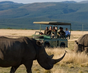 Plettenberg Bay Game Reserve: 2-Hour Game Drive