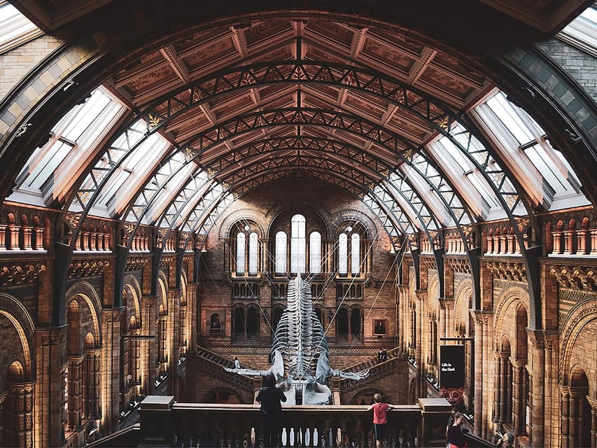 Descubre Las Maravillas Naturales De Londres Expedici N Al Museo