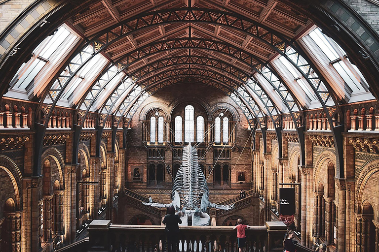 Naturhistoriska museet: Diplodocus, vulkaner, valar och ädelstenar