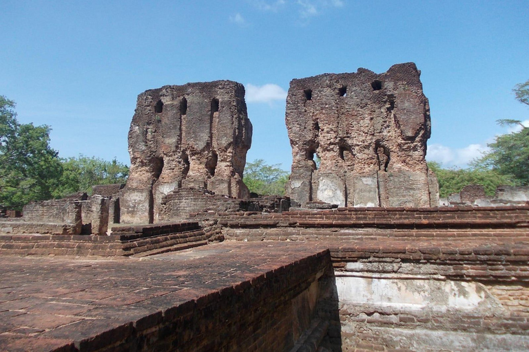 Sigiriya: Minneriya Safari & Polonnaruwa Private Tour Minneriya Safari & Polonnaruwa Private Tour from Sigiriya