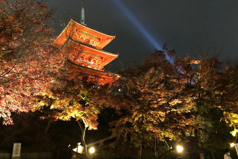 Kyoto: Private Full-Day Tour with driver-guide Full Day Private Tour in Kyoto with Private Transportation