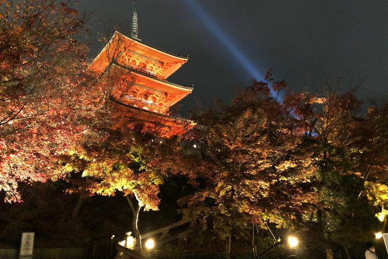 Kyoto: Private Full-Day Tour with driver-guide Full Day Private Tour in Kyoto with Private Transportation