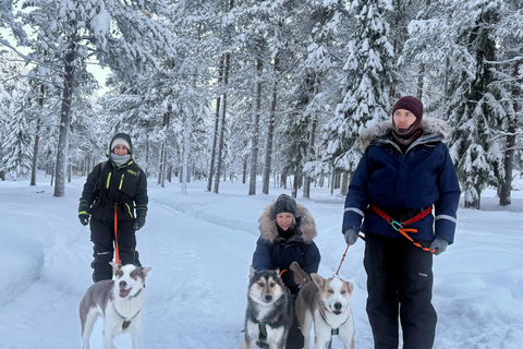 Äkäslompolo: Husky Trail Walk, Walk 1:1 with Your Own Husky Meet at the meeting point in Äkäslompolo