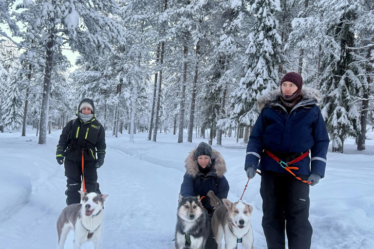 Äkäslompolo: Husky Trail Walk, Walk 1:1 with Your Own Husky Meet at the meeting point in Äkäslompolo