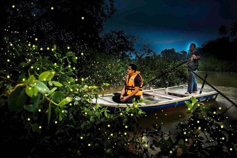 From Kuala Lumpur: Kuala Selangor Firefly Cruise & Dinner