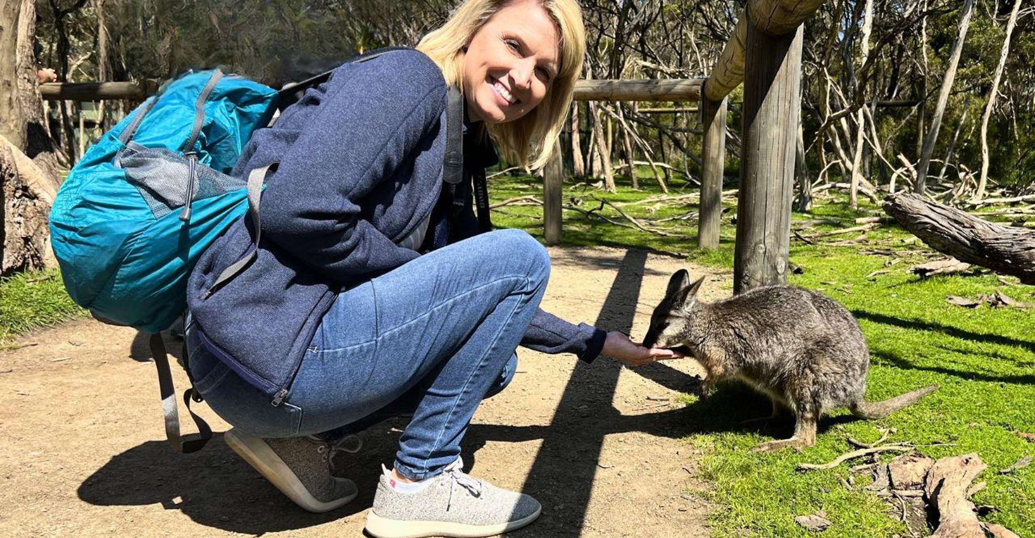 Phillip Island Penguin Parade with Expert Local Guide photo 5
