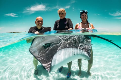 Moorea : croisière panoramique dans le lagon avec snorkeling et faune