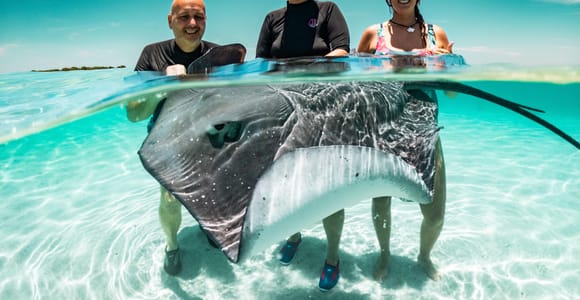 Moorea: Scenic Lagoon Cruise with Snorkelling and Wildlife