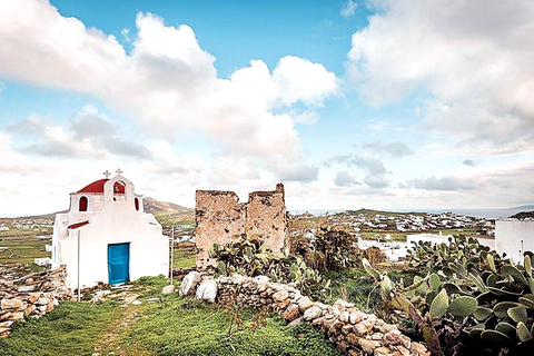 Private Tour: Customize Your Perfect Day in Mykonos