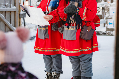 Levi：Arcandia，精灵法庭/日光和公园/黑暗精灵法庭：3 小时体验和公园之旅