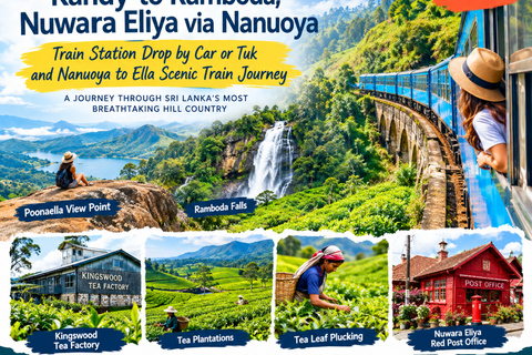 Kandy to Nanuoya Railway Station Drop and Ella Train Journey Kandy to Nanuoya Drop By Car & Ella Train Ride (02)