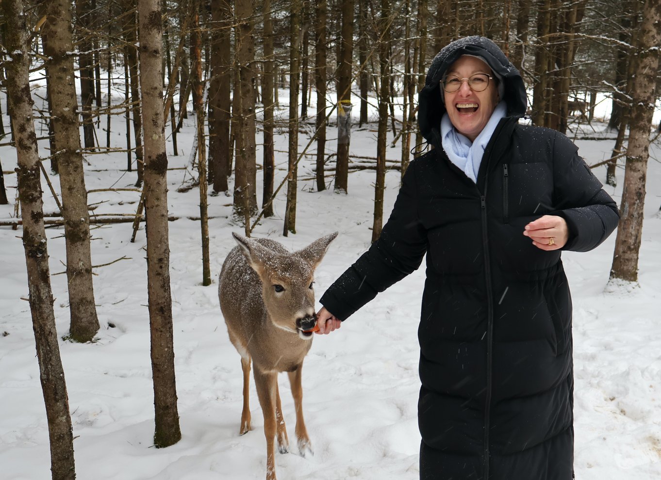 Fra Montreal: Omega Park Wildlife Safari Calling Sounds