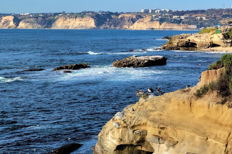 San Diego: Finest City Tour & Small-Group SightseeingFinest City Tour