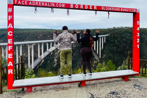 Tsitsikamma Day Trip with Optional Activities