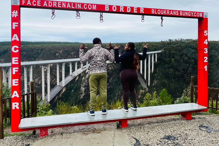Tsitsikamma Day Trip with Optional Activities