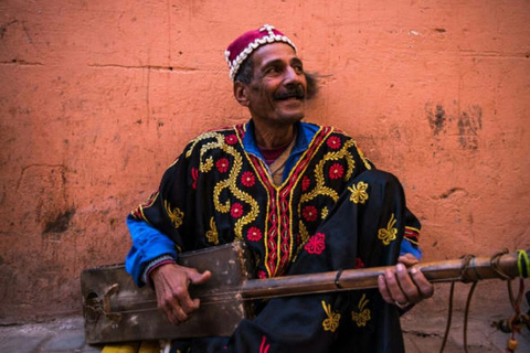 Excursão de um dia inteiro a Marrakech saindo de Agadir