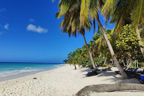 Punta Cana: Saona Island Tour with Lunch & Open Bar