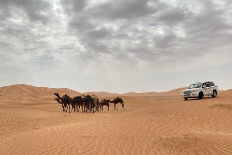 Salalah: Rub Al Khali Overnight Desert Adventure
