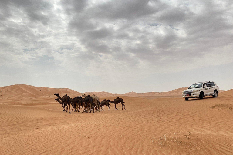 Salalah: Rub Al Khali Overnight Desert Adventure