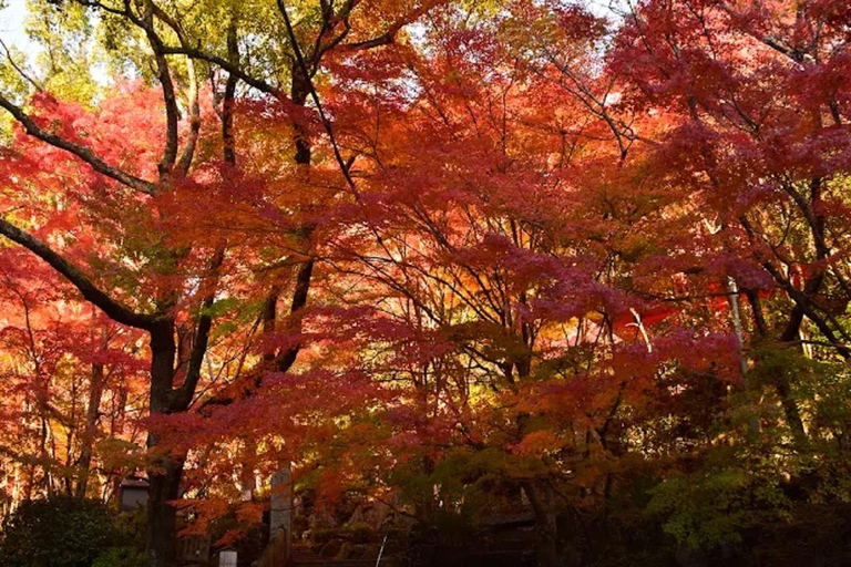Hiroshima: Mitaki-dera Temple and Peace Pagoda Tour