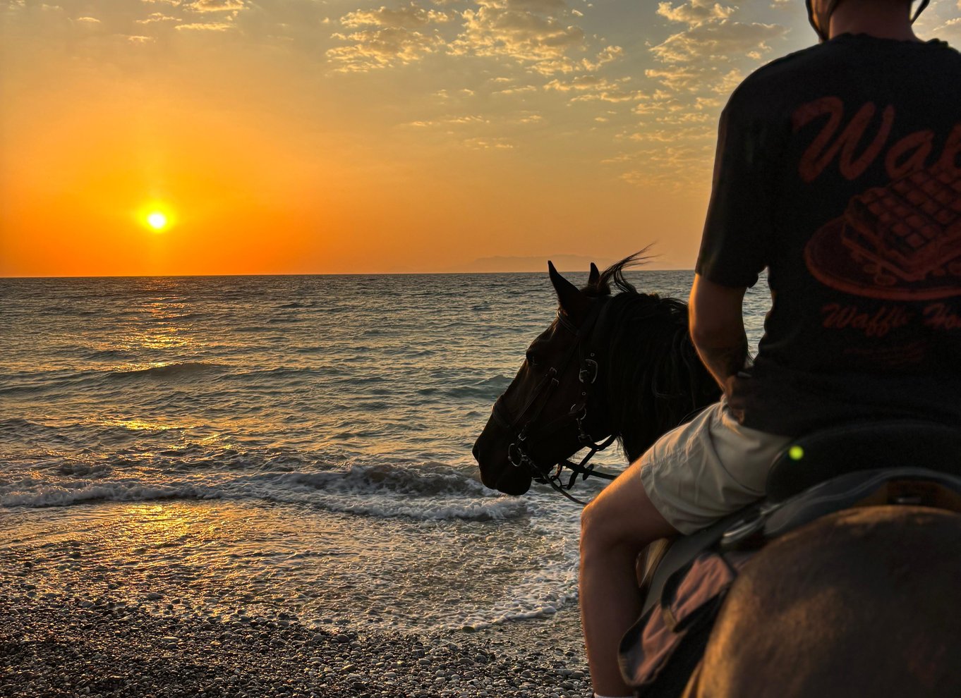 Rhodos: Ridetur i solnedgangen ved havet
