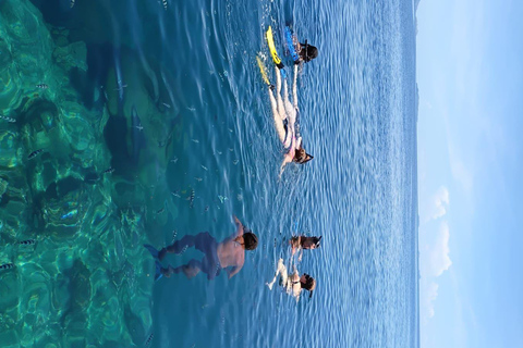 Nadi: Mamanuca Islands Snorkel, Turtle Sanctuary & Lunch