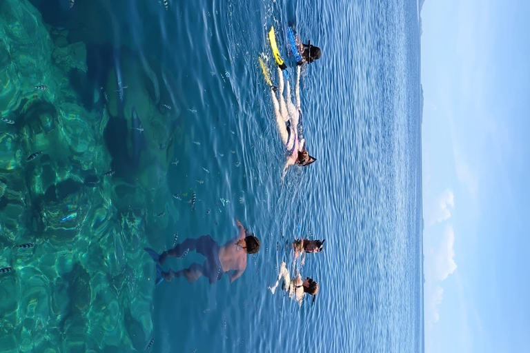 Nadi: Mamanuca Islands Snorkel, Turtle Sanctuary & Lunch