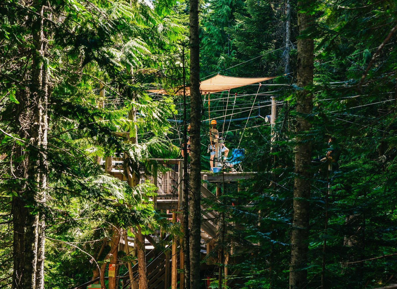 Whistler: Ziplining-oplevelse