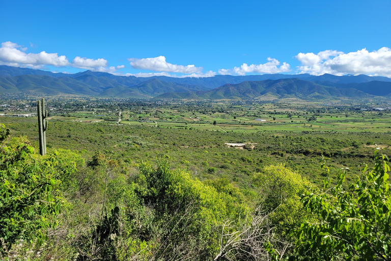 From Oaxaca: MTB Guided Ride to Teotitlan del Valle