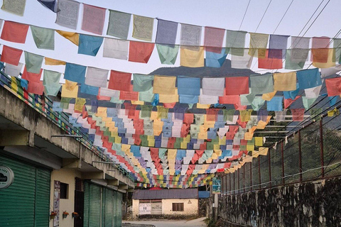 Pokhara: Guided Tibetan Monastery Tour with Afternoon Prayer