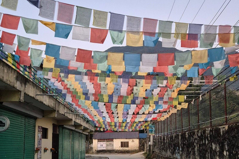 Pokhara: Guided Tibetan Monastery Tour with Afternoon Prayer