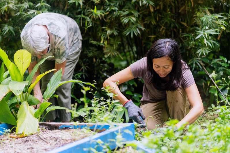 Пенанг: Тропическа градина с подправки E-Ticket