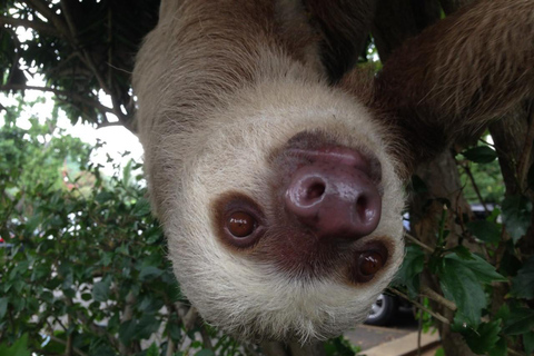 Panama : Magnifique BioTour