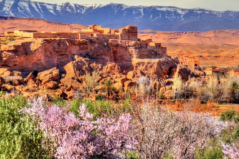 From Marrakech: 3-Day Merzouga Tour with Camel Trek & Luxury Camp Shared Standard Sahara Tour – Popular Choice