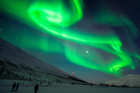 Tromsø: Northern Lights Bus Tour