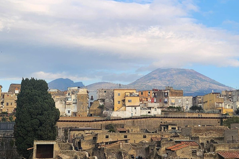 From Naples: Pompeii & Herculaneum Gems - Small Group Tour Small Group Experience - No Lunch included