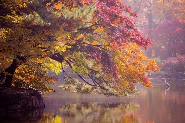 Seoul: Bongeunsa Tempel und Gourmet Nachttour in Gangnam