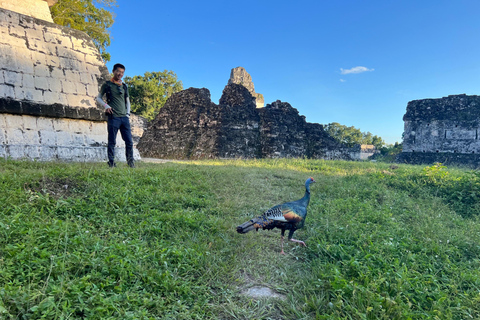 Tikal Full Day with Dedicated Exploration of the Monuments From San Jose Peten Hotels and Airbnbs Small Group